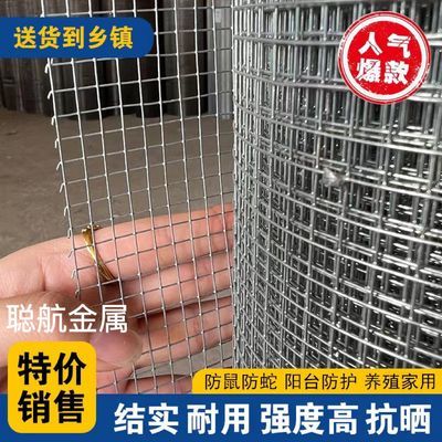 小孔加密热镀锌铁丝网防鼠防蛇阳台养鸡网栏围栏钢丝网铁网格网
