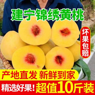 【24小时速发】建宁锦绣黄桃现摘现发新鲜应季时令水果一整箱包邮