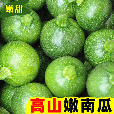 【高品质】5/9斤新鲜嫩南瓜现摘高山圆南瓜青小南瓜农家当季蔬菜