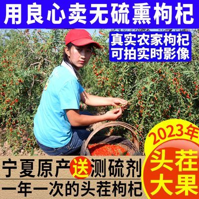 【原产直发】枸杞子宁夏特级500g大粒正宗批发中宁头茬红干泡水茶