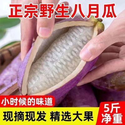 野生八月瓜鲜果八月炸新鲜水果稀奇古怪木通果九月炸1/3/5斤批发