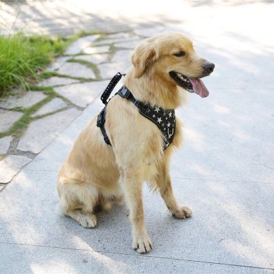 狗狗双碟胸背带中小型全金毛拉布拉多萨摩耶犬遛狗牵引绳宠物用品