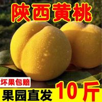 陕西高山黄桃1-10斤当季时令应季黄金蜜桃新鲜水果脆甜毛桃大桃子
