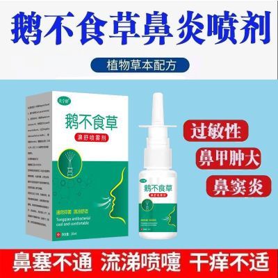 鹅不食草鼻炎喷雾鼻窦炎鼻甲肥大鼻器鼻塞干燥流鼻涕过敏性鼻息肉