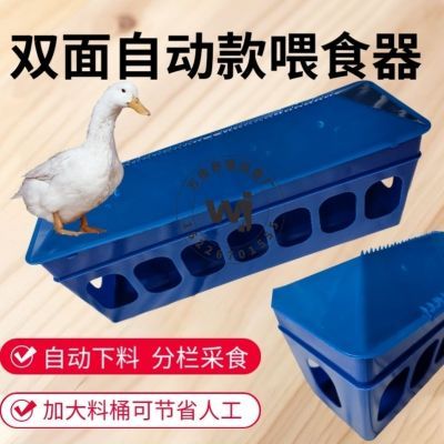 养鸡鸭自动下料喂食槽防撒喂自动料槽大鸡食盒食槽防撒鸽子喂食器