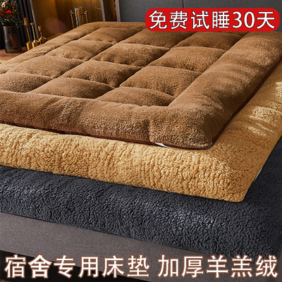 羊羔绒床垫软垫学生宿舍铺底冬季榻榻米两面可用可折叠床褥子垫被