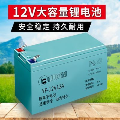 12v伏锂电池大容量可充电农用电动喷雾器电动抽水泵专业锂电池