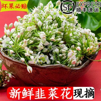 【顺丰冷链】韭菜花新鲜可做韭花酱火锅蘸料原料当季蔬菜现摘现发