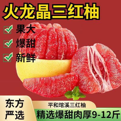 【平和三红蜜柚】红心柚子零食应季水果2026特级新鲜大果整箱批发优惠商品图片