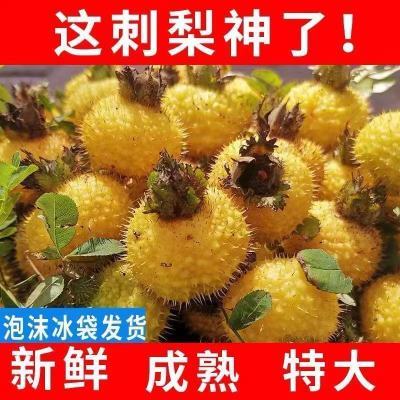 贵州特产新鲜刺梨鲜果野生正宗泡水泡茶美白水果维c之王现摘大果