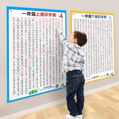 小学生识字挂图一年级上下册注音汉字启蒙认知大尺寸墙贴防水防油