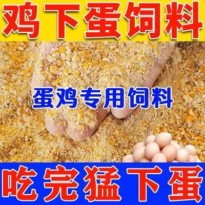 鸡饲料蛋鸡小鸡中大鸡开口料鸡鸭鹅通用饲料高蛋白钓鱼鹌鹑料专用