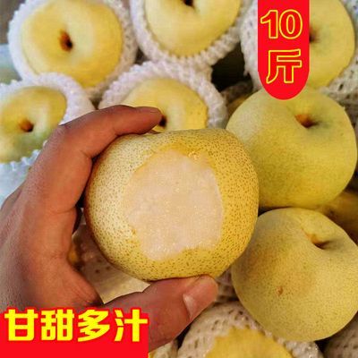 【正宗】砀山酥梨10斤新鲜水果皇冠梨5斤百年梨子青梨整箱1个包邮