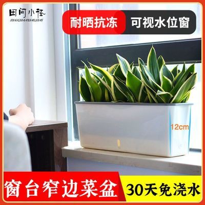 家庭阳台懒人长方形自吸水种菜盆壁挂花盆蔬菜种植箱免浇水种菜箱