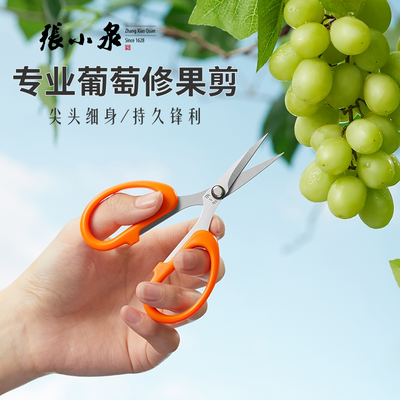 【张小泉】葡萄修果剪刀专用尖头剪葡萄枝蔬果疏花剪子花艺修枝小剪刀