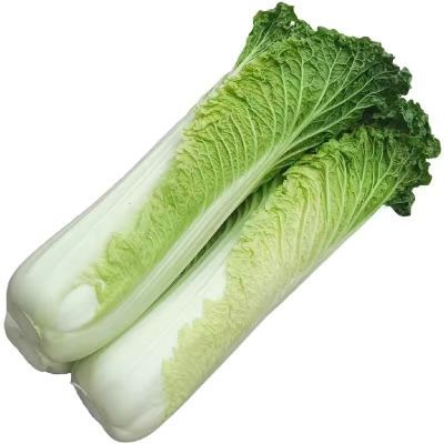 云南青麻叶白菜新鲜蔬菜新当季时令绿叶蔬菜鲜高山绿色青口大白菜