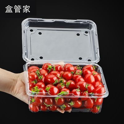一次性水果包装盒超市一斤装透明塑料盒长方形500M草莓打包盒带盖