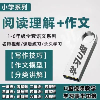 U盘小学语文123456年级作文阅读理解名师辅导教程视频网课小升初