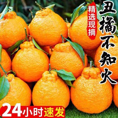 新鲜现摘高山丑橘不知火当季水果耙耙柑丑桔子蜜橘子10斤新鲜