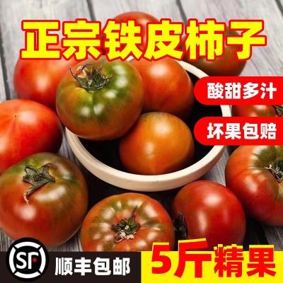 【顺丰包邮】盘锦碱地柿子西红柿新鲜铁皮柿子应季碱地绿腚番茄