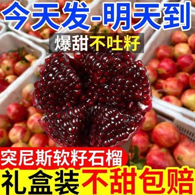 石榴突尼斯软籽无籽薄皮大果甜石榴现货直发