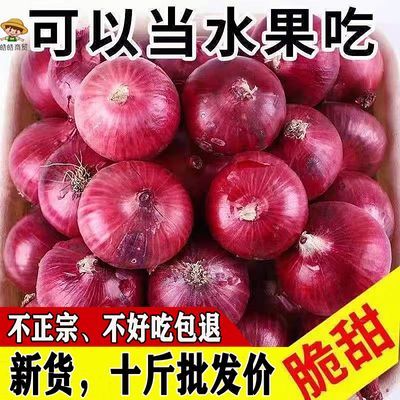 【新品补贴】新鲜紫红皮小洋葱蔬菜农家自种水果圆葱大葱甜脆批发
