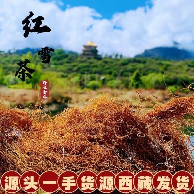 产地直发西藏野生高海拔特级红雪茶金丝海拔4200m胡须状红茶包邮