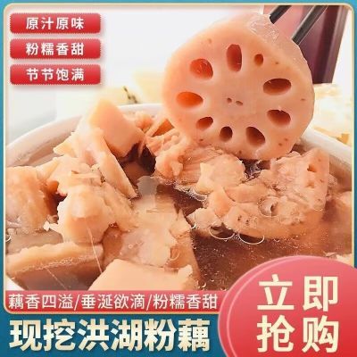 湖北当季新鲜现挖现发粉糯香甜煲汤美味粉藕不粉不糯包退莲藕新鲜