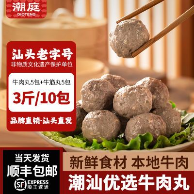 潮庭潮汕牛肉丸优选牛筋丸3斤/10包 汕头特产潮汕火锅烧烤食材