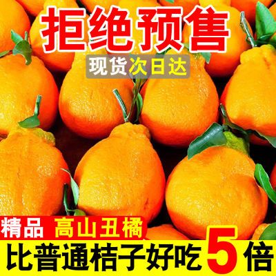 【现货秒发】高山丑橘耙耙柑不知火当季新鲜水果丑桔子蜜橘子10斤