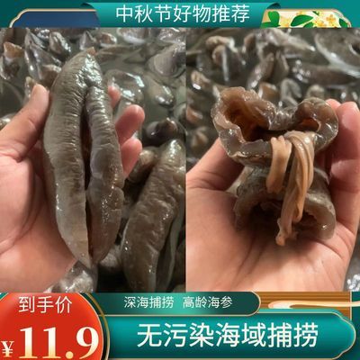 深海大乌参茄参冷冻海参新鲜滋补佳品饭店婚宴酒店无泥沙整箱批发