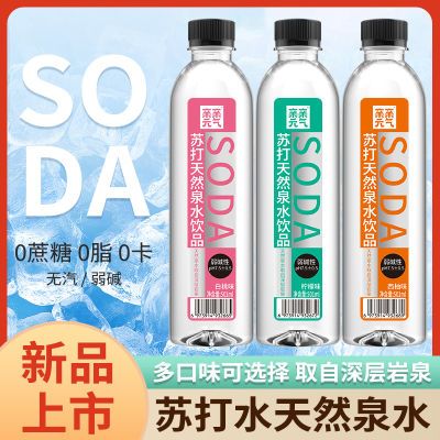 亲亲元气苏打水501ml*12瓶整箱特价0蔗糖0脂0卡弱碱性风味饮料