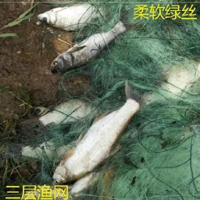 江河粘鱼网4.5指三合一粘网丝网粘鱼用的沉网100m流水水库深水