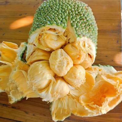 海南榴莲蜜带壳湿包邮菠萝蜜一整个应季热带新鲜水果小个榴莲整个