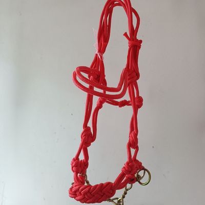 好绳子,红色、米白色大马笼头,带口链