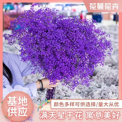 (A)满天星 批发 工厂直供干花 真花 地摊花束花材 鲜花风干永生