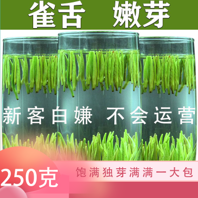 雀舌湄潭翠芽毛尖绿茶叶嫩芽绿茶新茶毛峰日照浓香耐泡好炒青罐装