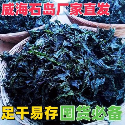 包包子威海石岛海青菜烘干大连海菜新鲜包子即食海菜新鲜大连免洗