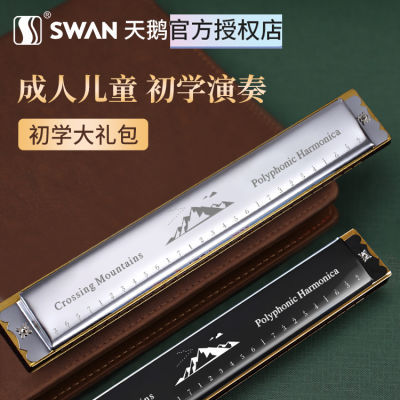 ڲƷԭװSWAN24׸Cߵ28׳˳ѧרҵ༶30.67Ԫ