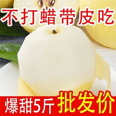 梨子新鲜皇冠化痰冰糖心应季水果当季皇冠梨