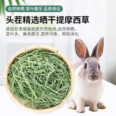 【提摩西草】岷县24头茬晒干提草兔子龙猫荷兰猪饲料干草磨牙豚