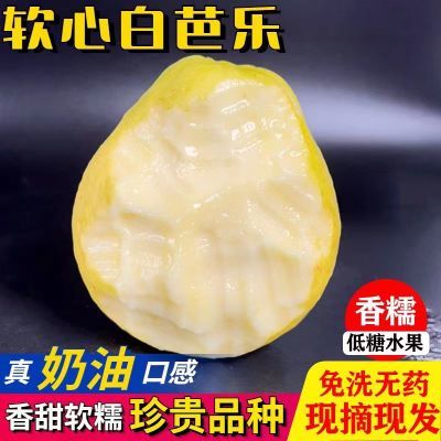 黄金奶油软糯芭乐胭脂红番石榴软心鸡屎果白心正宗台湾新鲜水果