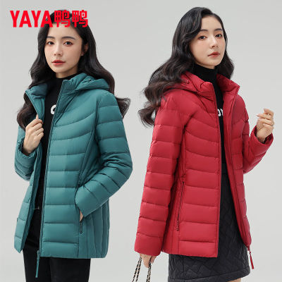 ڲѼѼ2024¿Ů޷гñ챣ůʱаٴﶬ187.99Ԫ