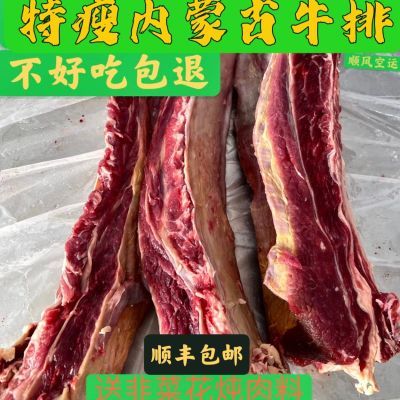 新鲜牛排内蒙草原黄膘牛排骨牛肉肥牛烤肉火锅黄膘特瘦肋排手把肉