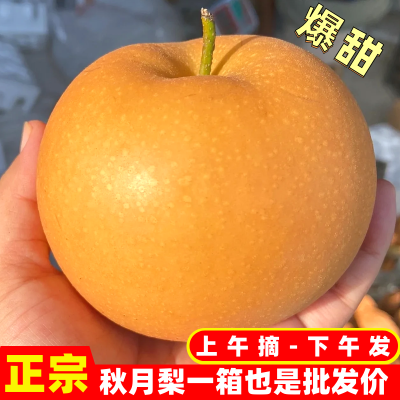 2023年9月9日更新【万能白菜价】的图片 第60张