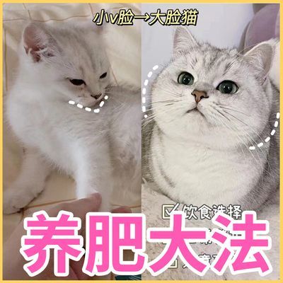 猫咪催肥发腮促长肉长胖猛长快速育肥猫用增肥发腮粉宠物发育宝