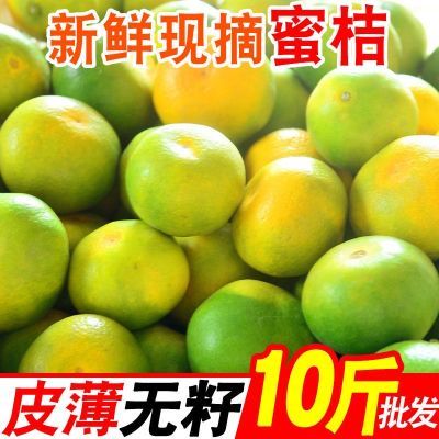 【首页推荐】新鲜蜜桔现摘孕妇水果薄皮酸甜柑橘早熟青皮无籽桔子