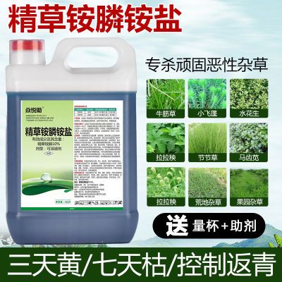 10斤高浓度精草铵膦铵盐强力除草剂农田园林飞蓬除草剂老牌子树荣