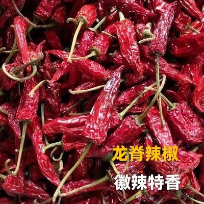 桂林龙胜龙脊辣椒土特产农家自产高山红独特香味干辣椒1斤