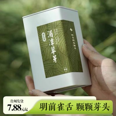 【贵州绿茶】全芽雀舌茶叶2024新茶贵州茶特级湄潭雀舌罐装礼盒装